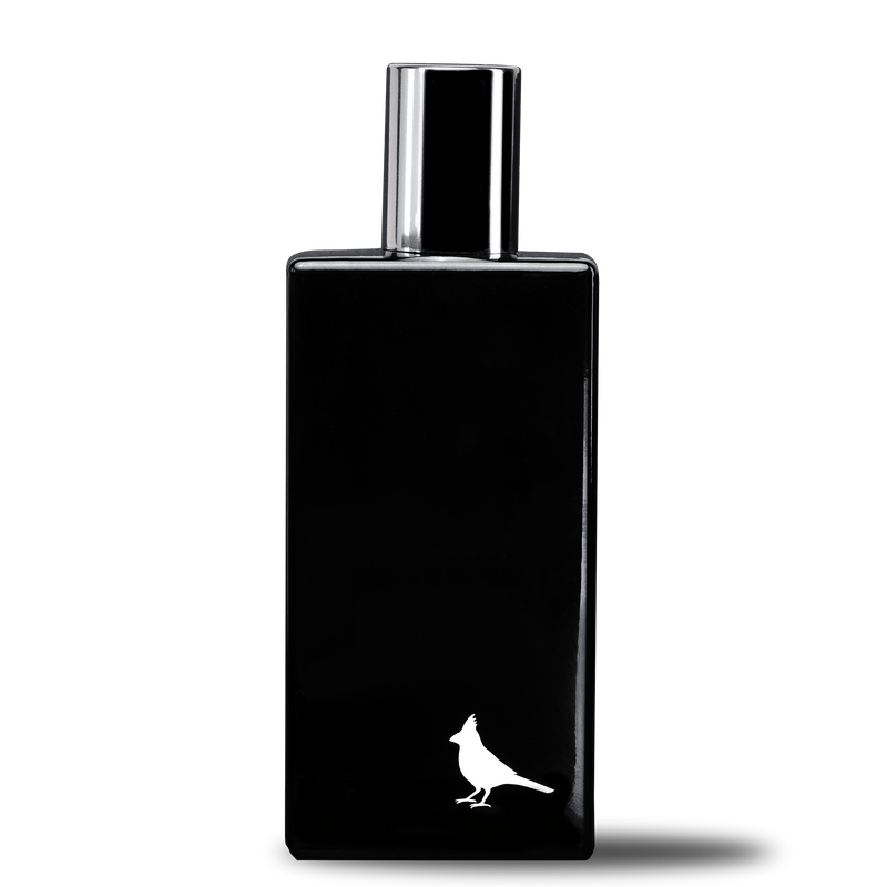 BLACK EDITION - Unisex Fragrance
